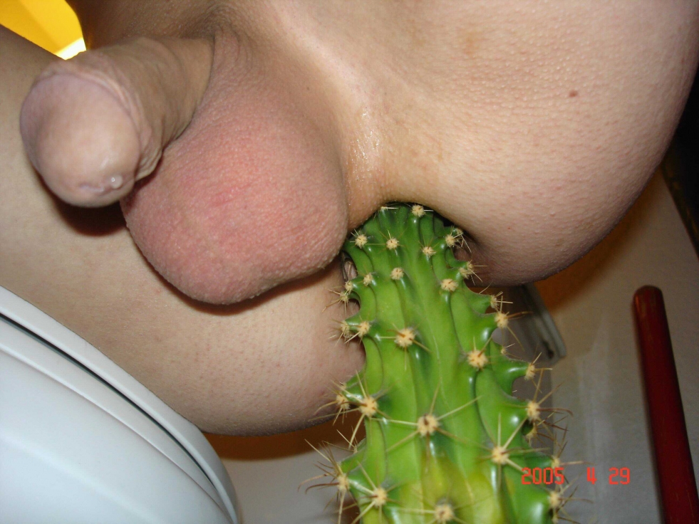 Pussy Village On Cactus 60 Photos Porn