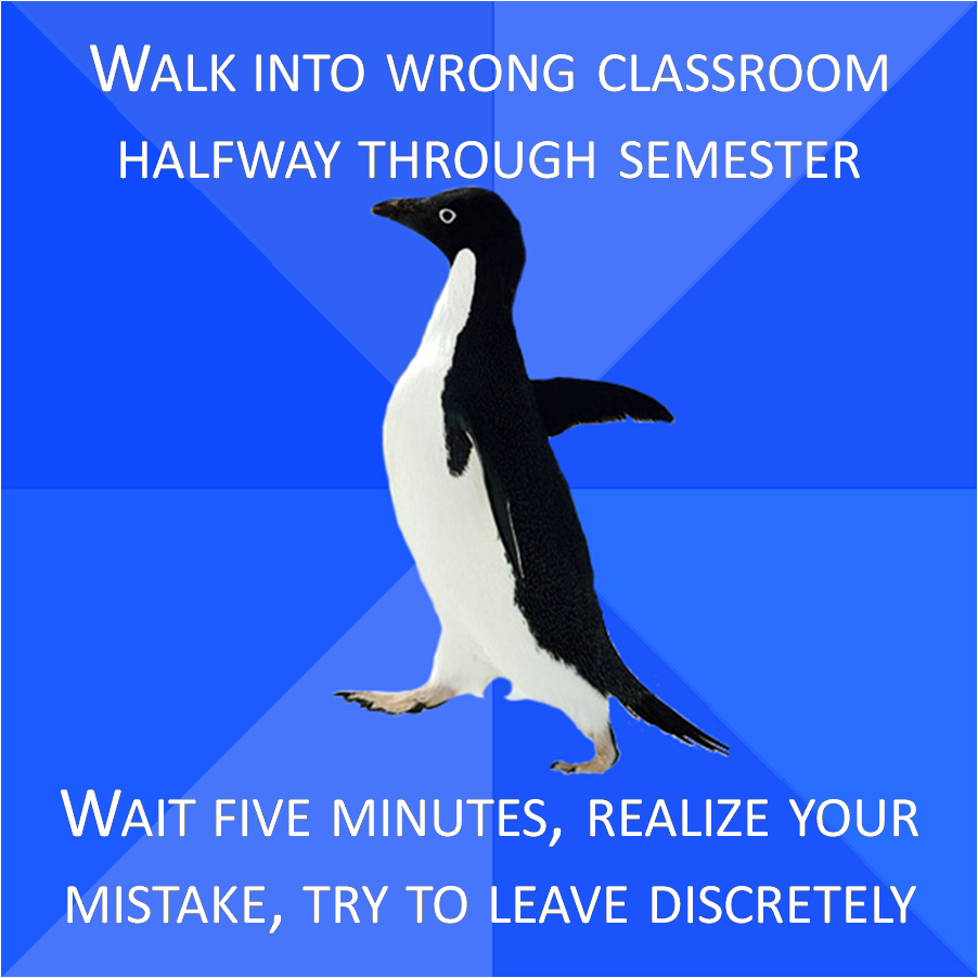 Penguin meme
