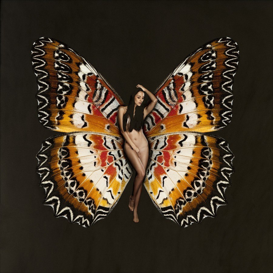 Pictures watch online for free naked butterflies