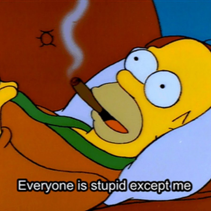 All stupid except me Homer