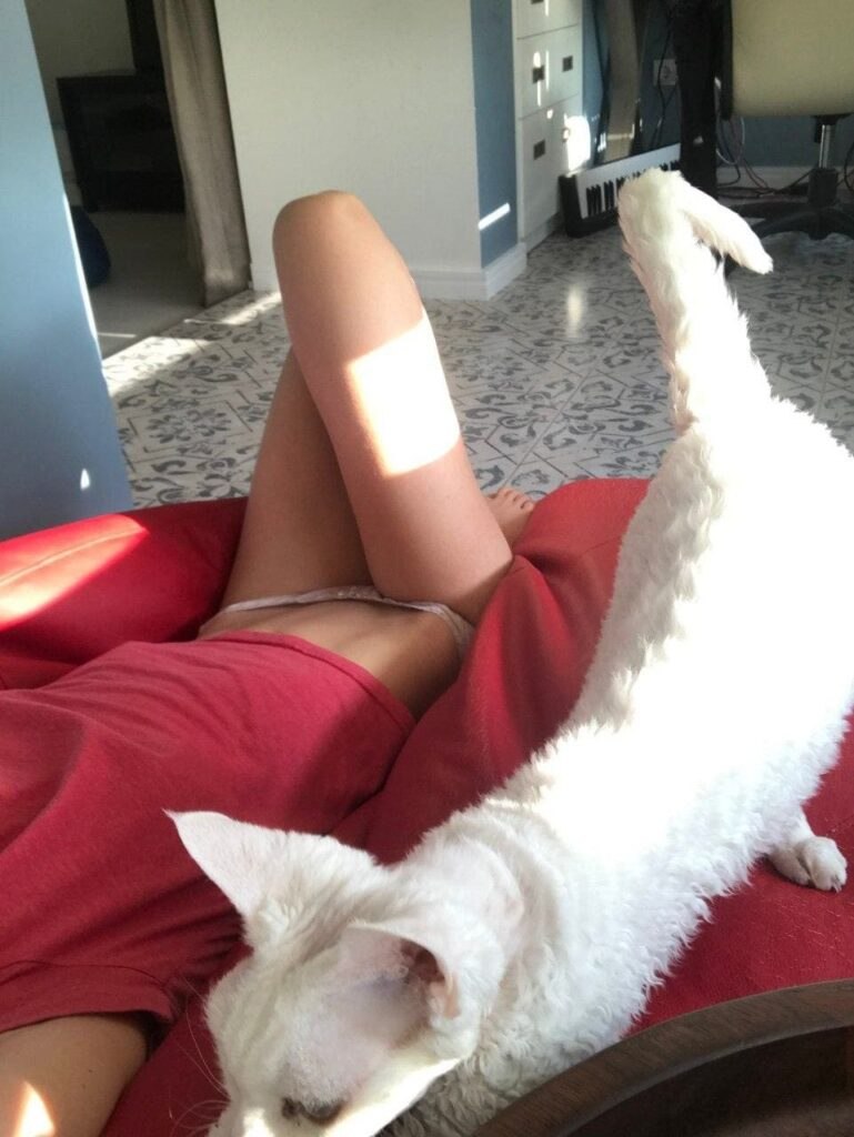 Ariel lilit a porn actress Sex