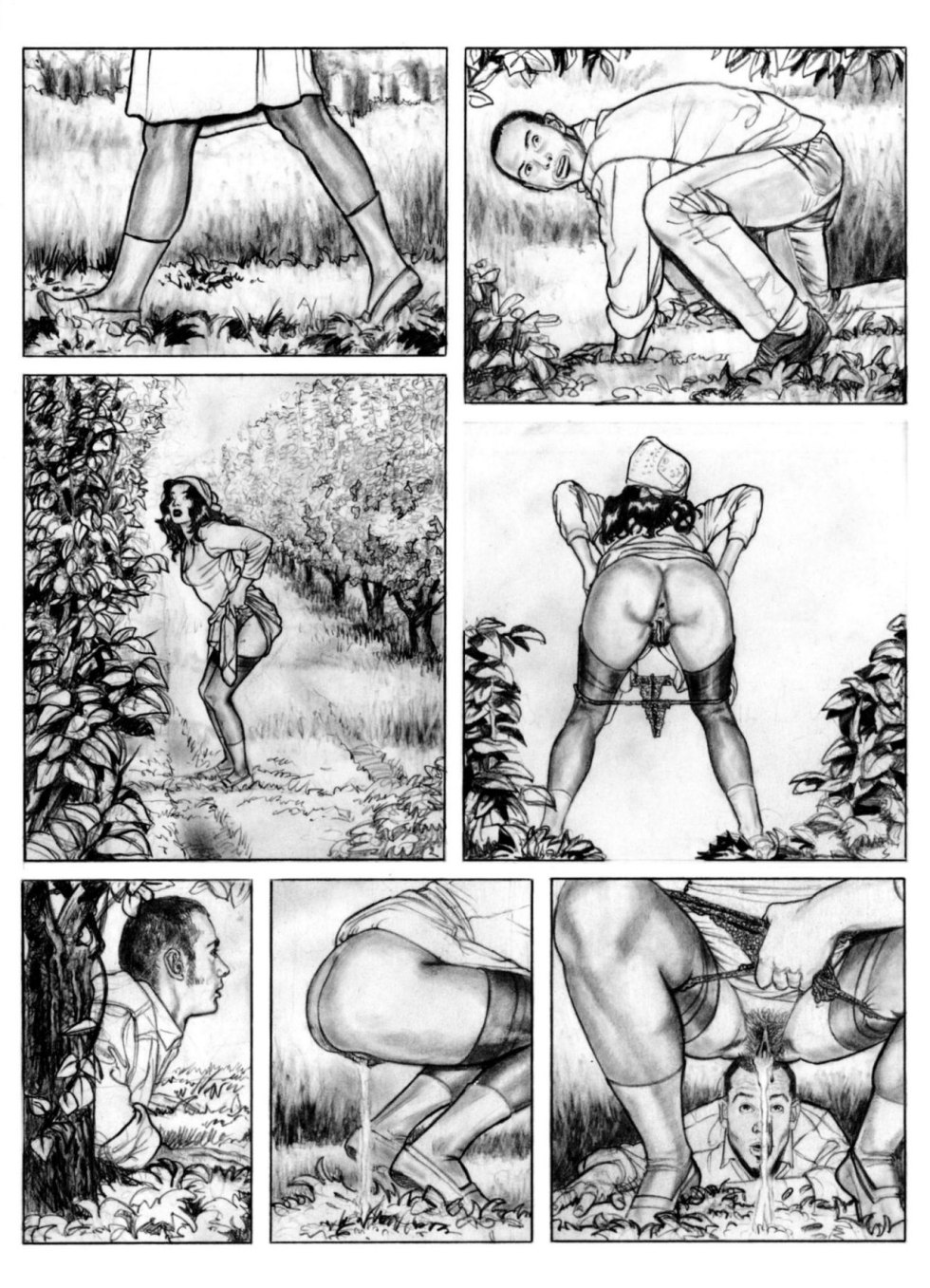 Drawn erotic comics
