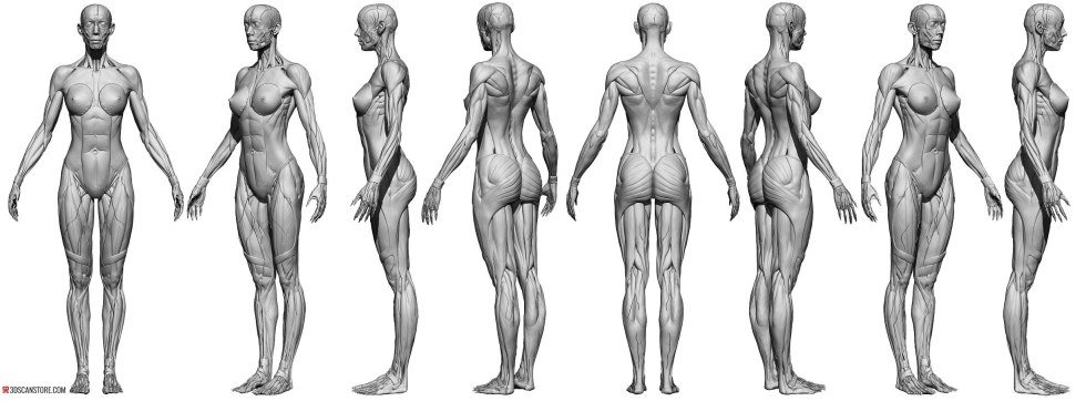 Man at 3/4 of the full -length reference