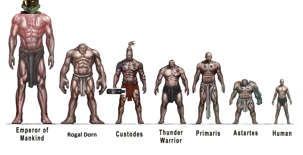 The growth of the emperor of the Primarchs and Astartes