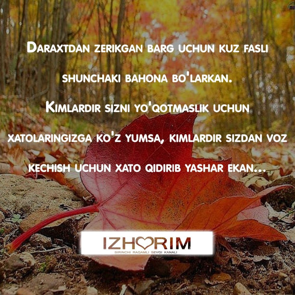 Interesting correspondence with a girl