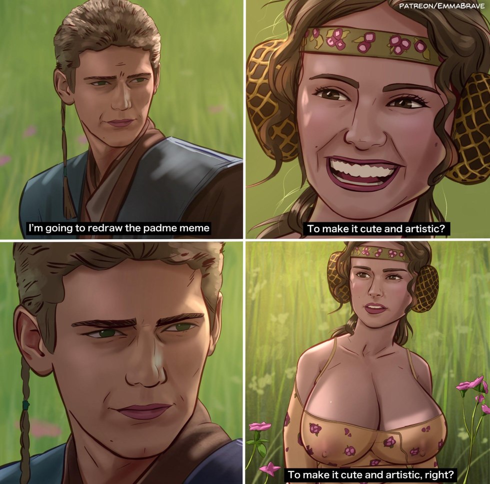 Meme Anakin and Padme on the picnic
