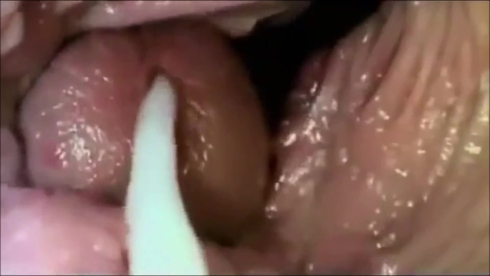 Women's vagina from the inside