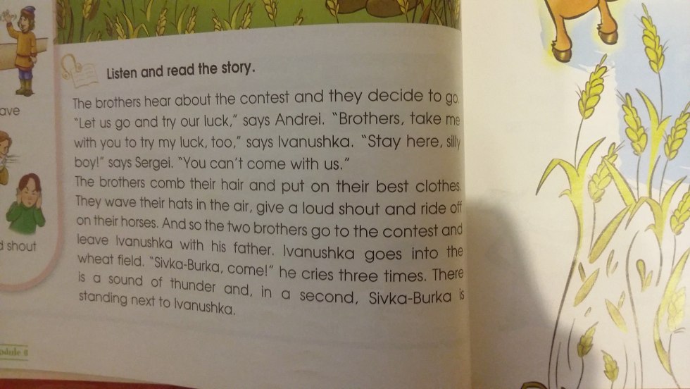 Return of VILDBERRIZ