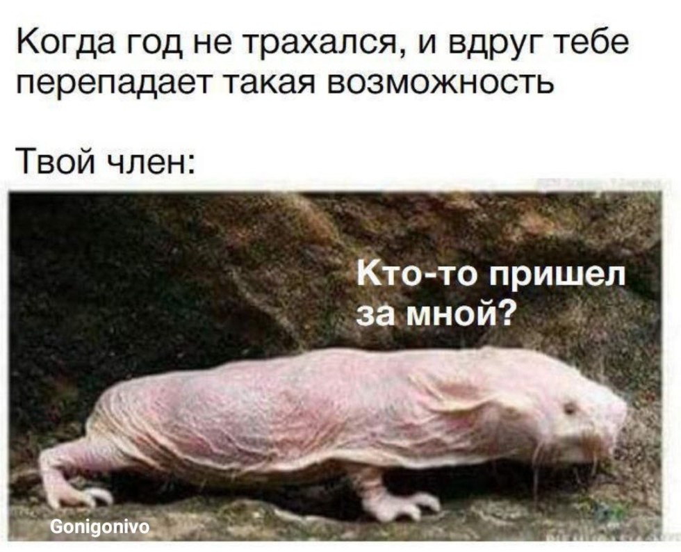 Drink with a monitor