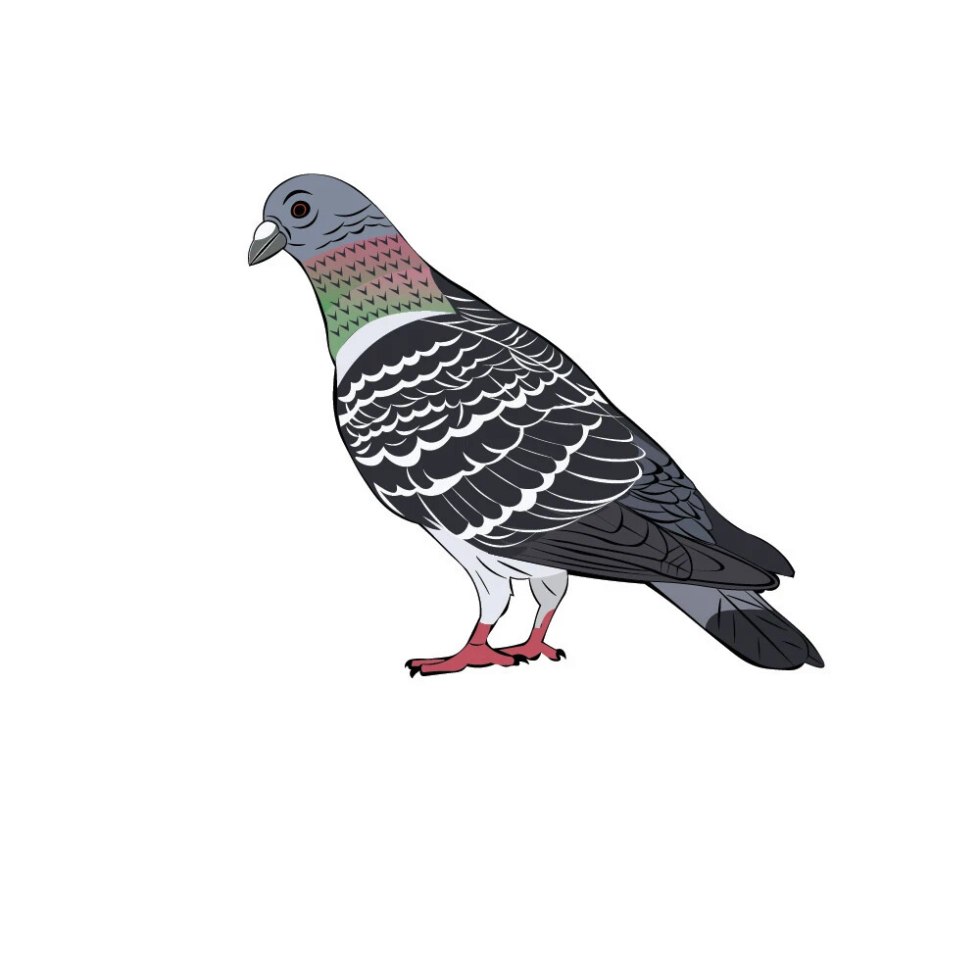 Hugo Mayhew Model Naked