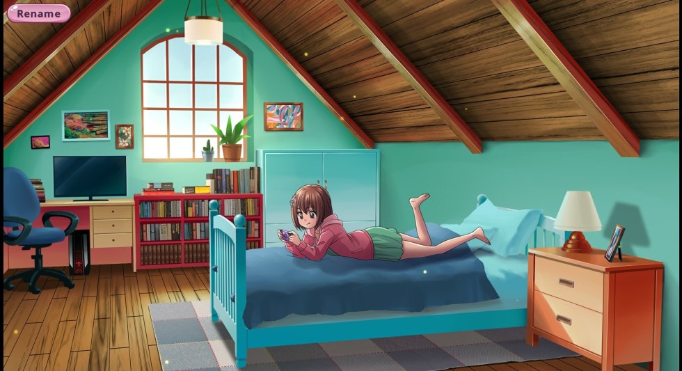 Hentai games on a computer