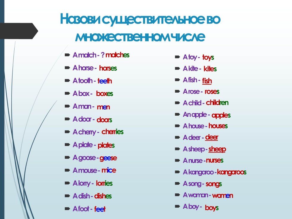 Nouns in the plural in English