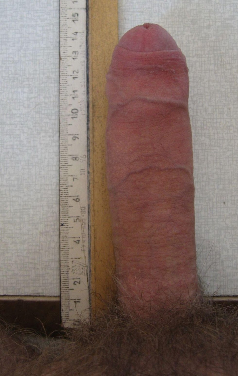 Huge penis with a ruler