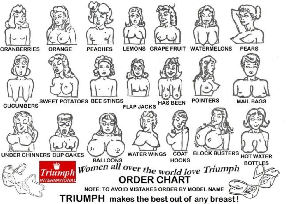 The name of the forms of the female breast