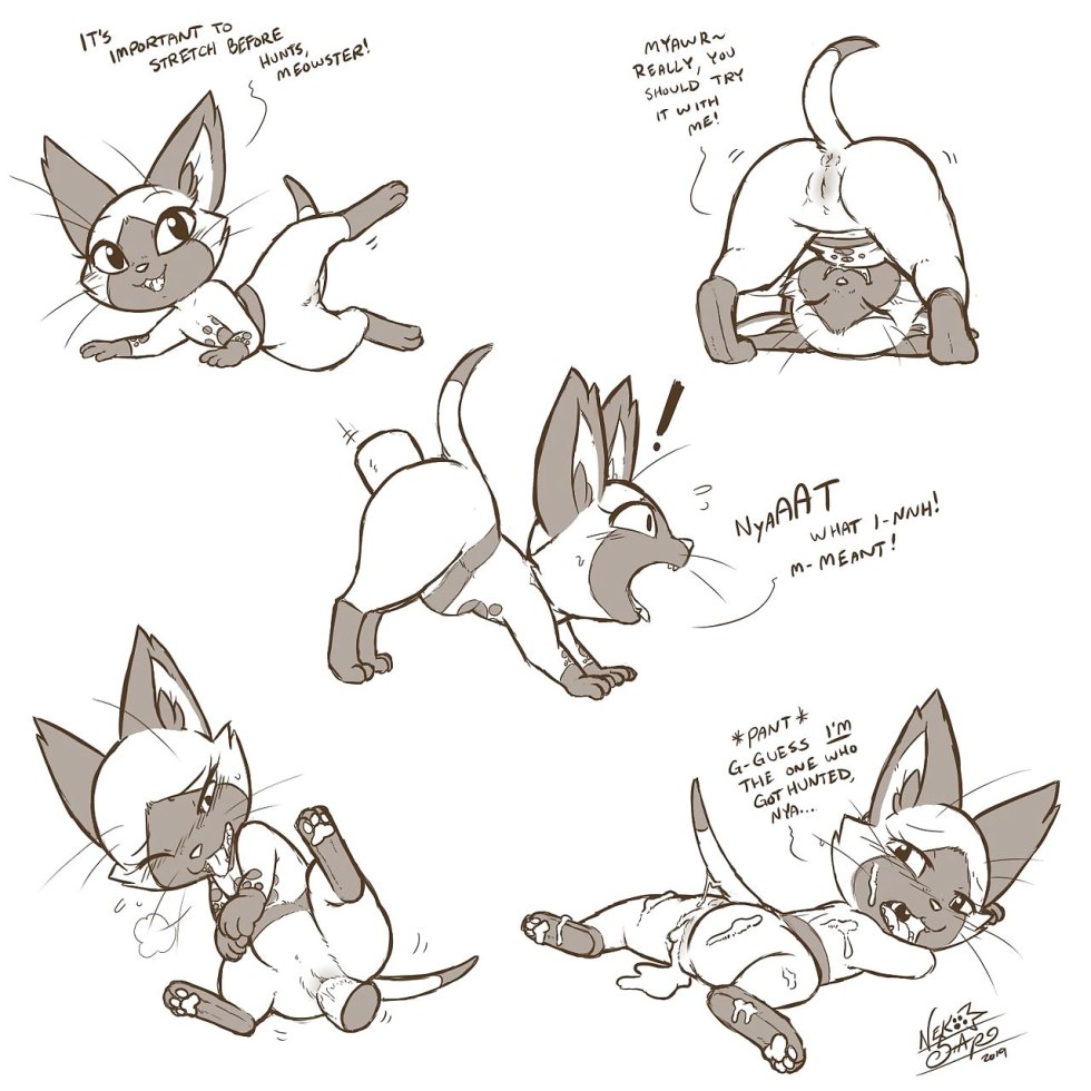 Pizza on a dark background