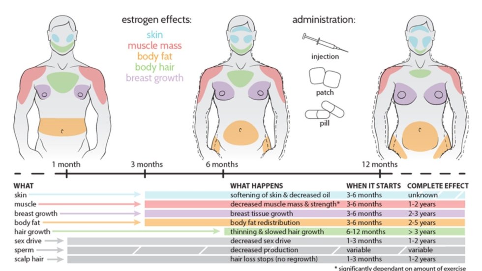 Hormonal therapy scheme for mtf