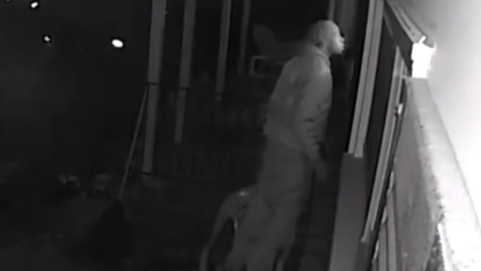 Sister next door 1 chapter