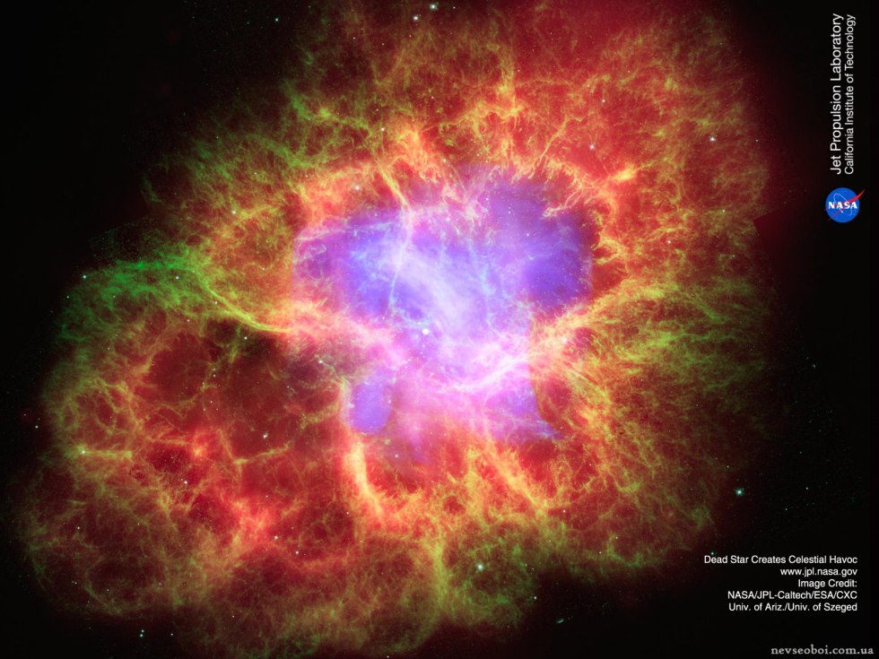 Goats of tights fetish