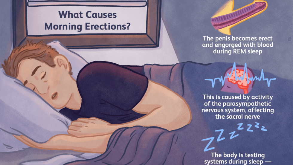 Morning Wood Sleeping