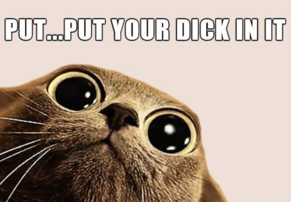 Postcard Books Are a Girls Best Friend