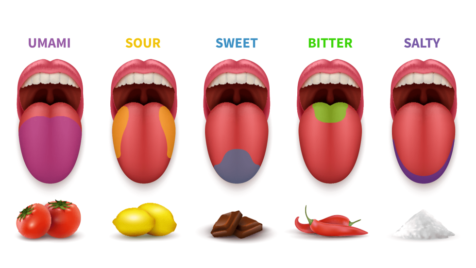 Girl eats strawberries with cream