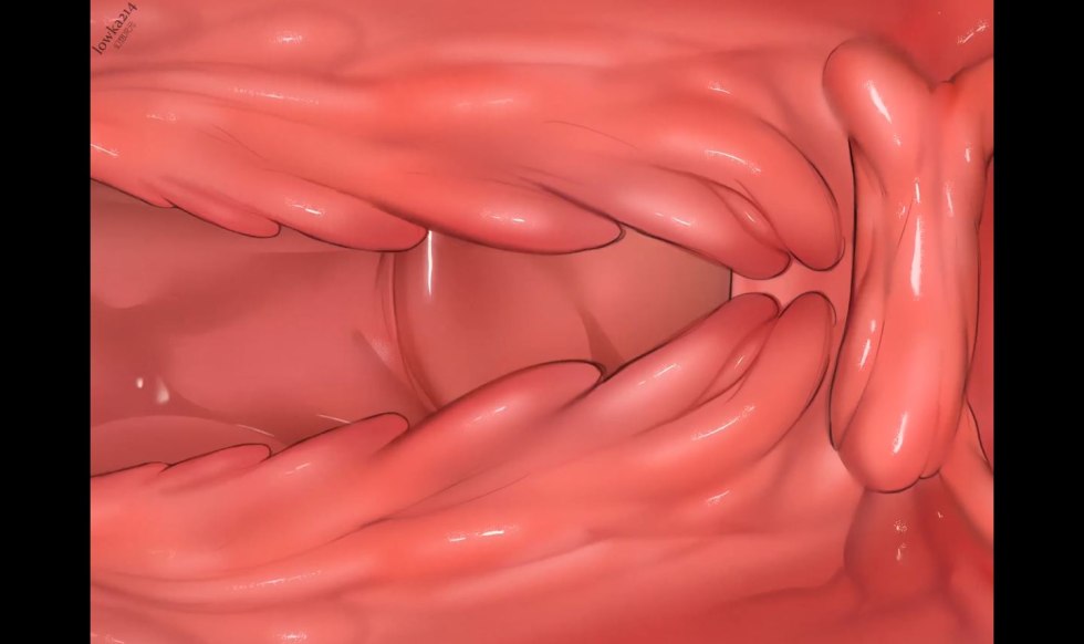 Shimale Sabrina Suzuki