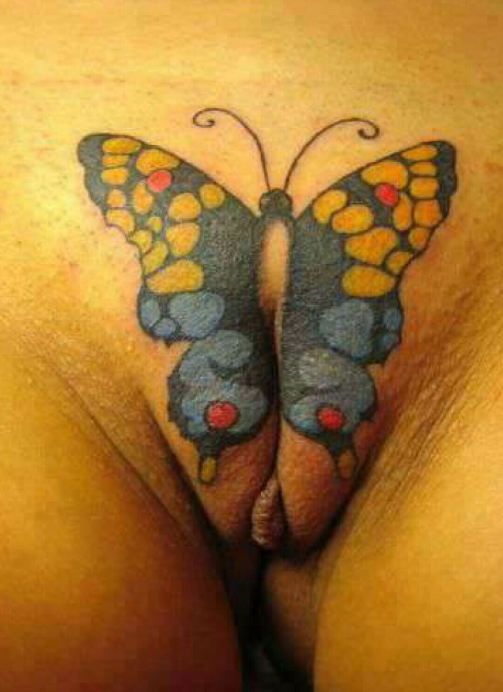 Bodiart on women's genitals
