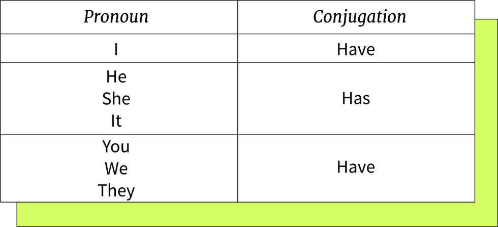 Jeff Mr. Best island
