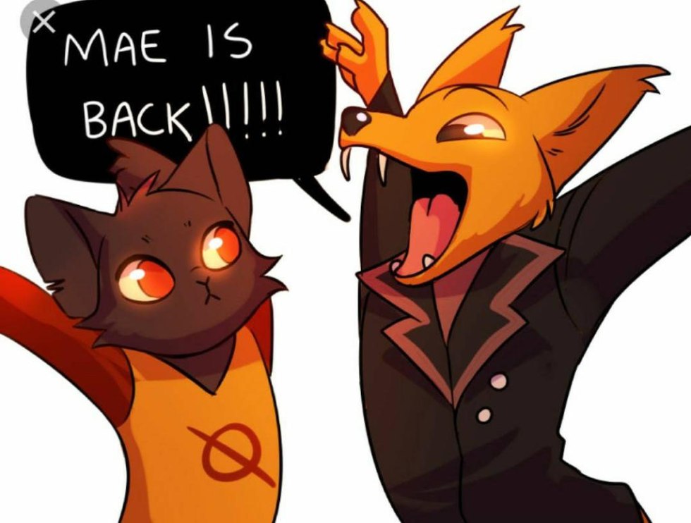 ENVIRONMENTAL PROblems and Solutions