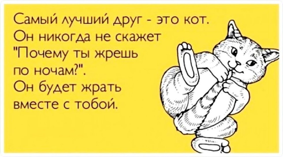 The neighbors learned the lessons, the dog retold