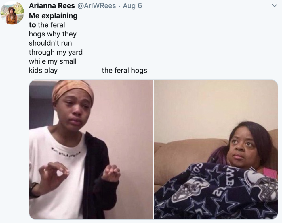 Explains the girl with a meme