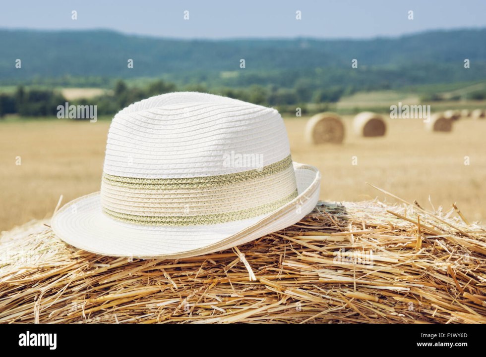 Girl in a cowboy hat on the hay