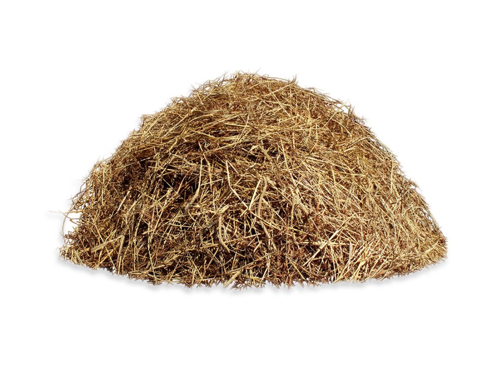 Funny cat in a straw hat