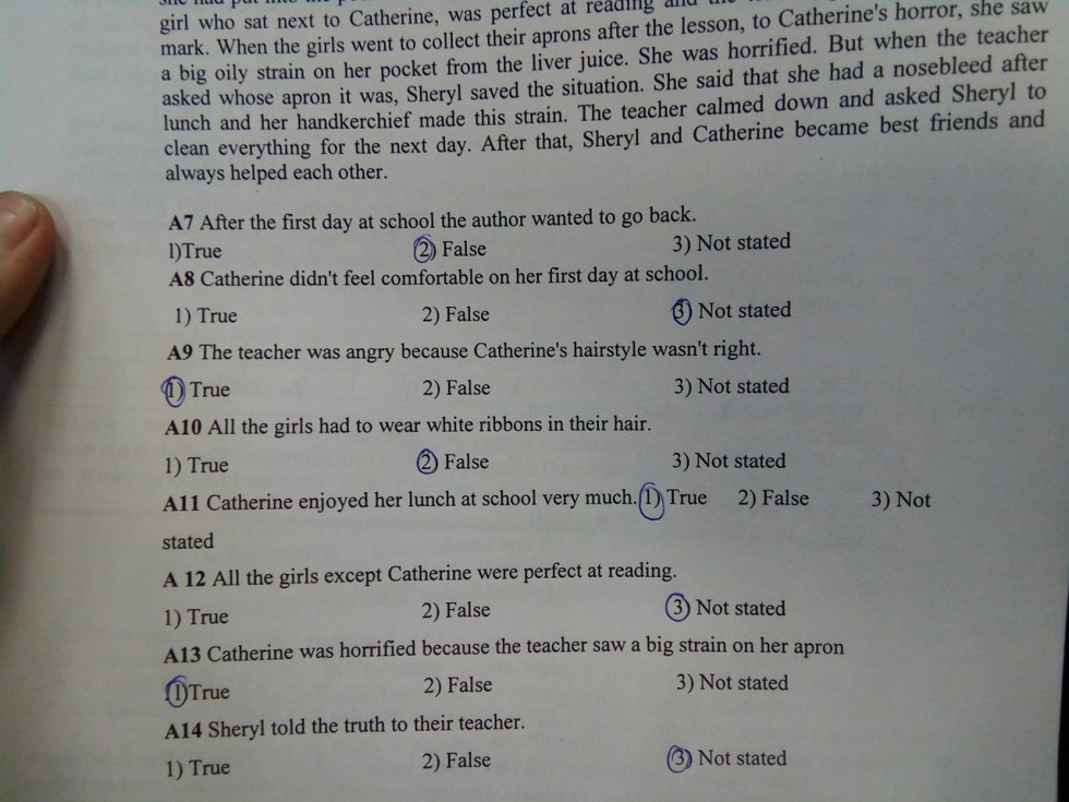 Put The Verbs in Brackets