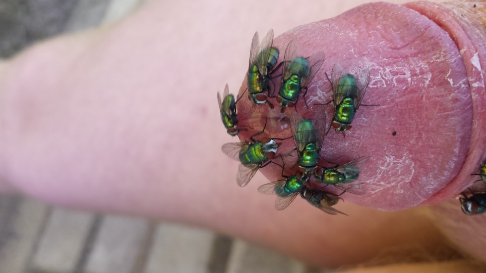 Naked disabled people.Cock and Balls