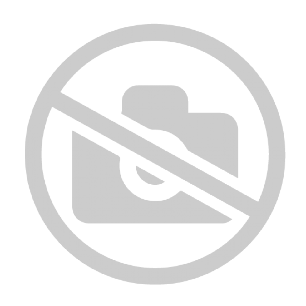 FBT LS 61A subwoofer