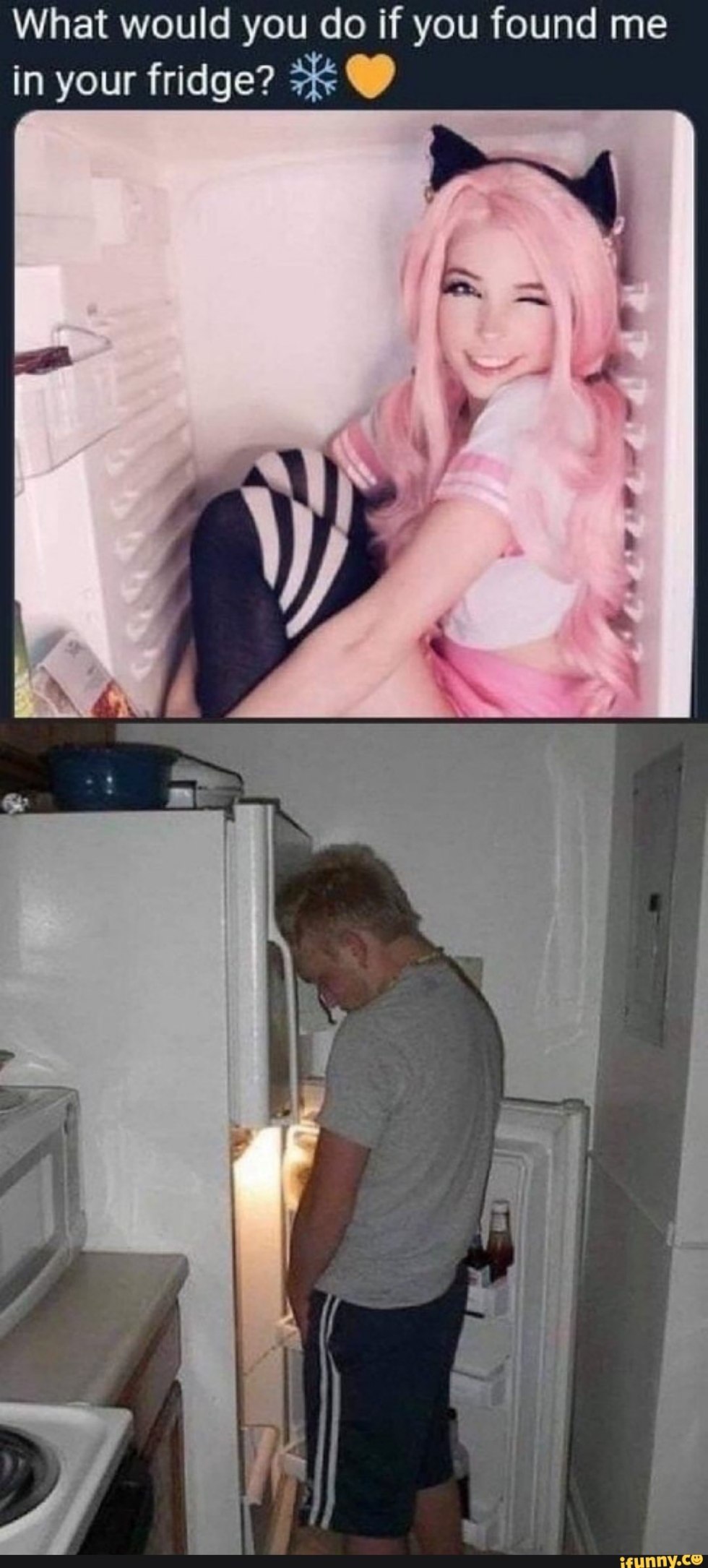 BELLE DELPHINE refrigerator