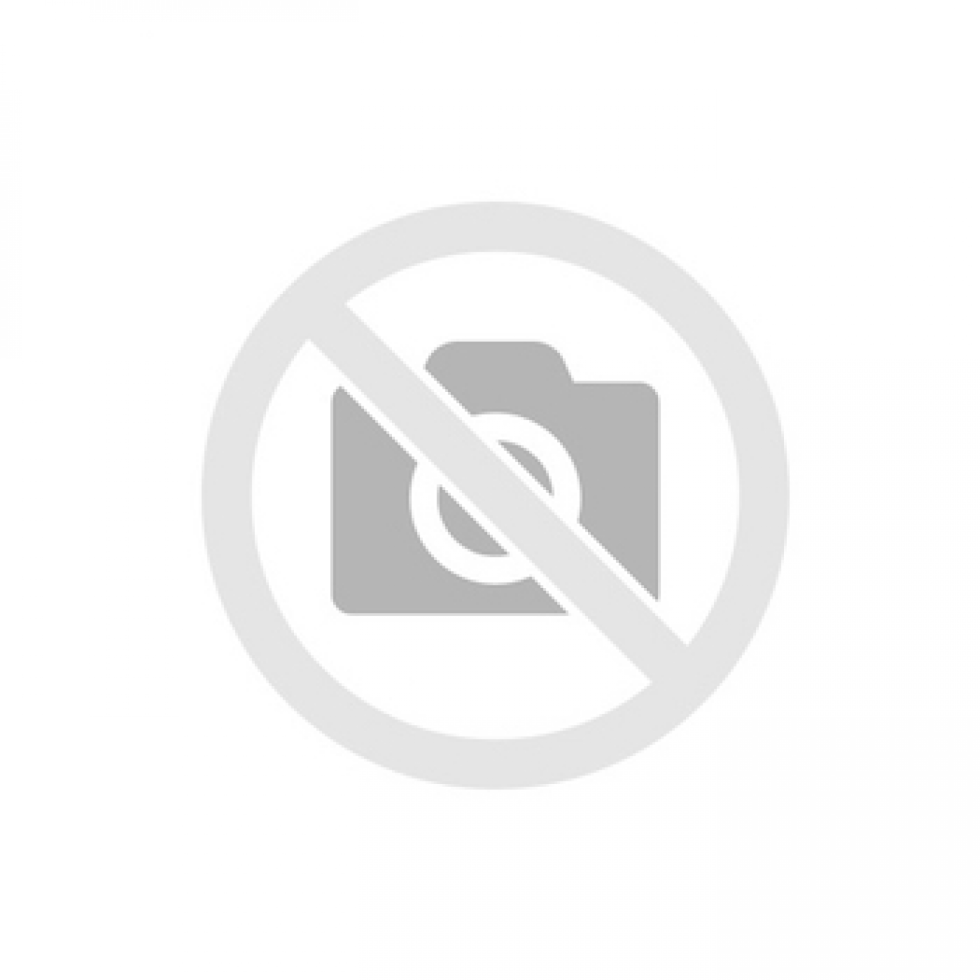 MSI 865GVM2-LS motherboard