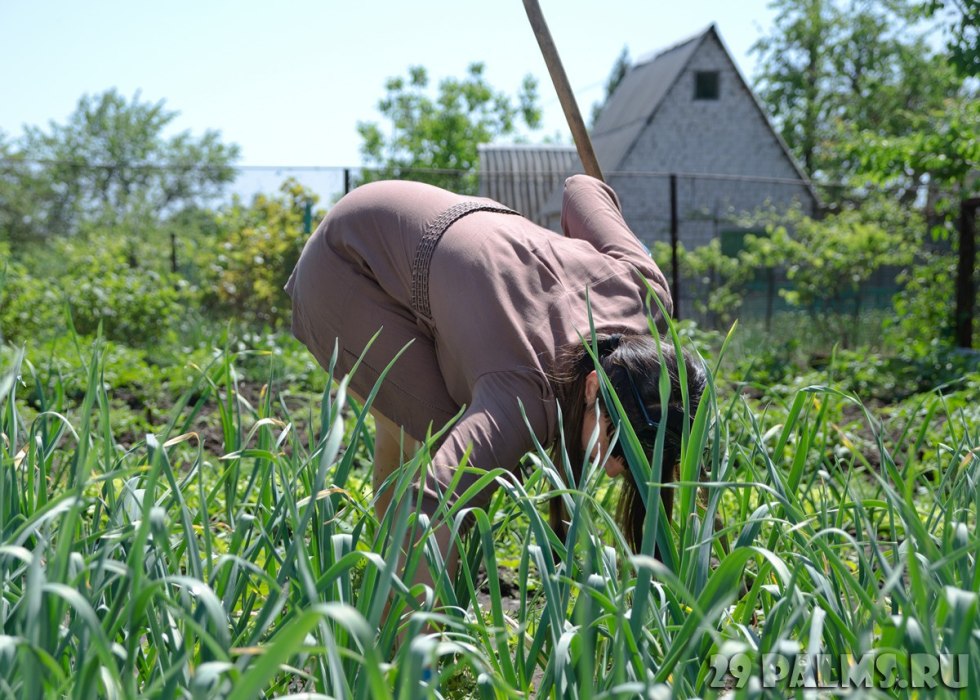 Priest in the garden