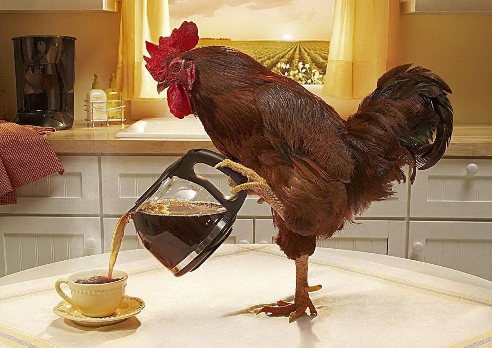 Big Brother Olivia F95