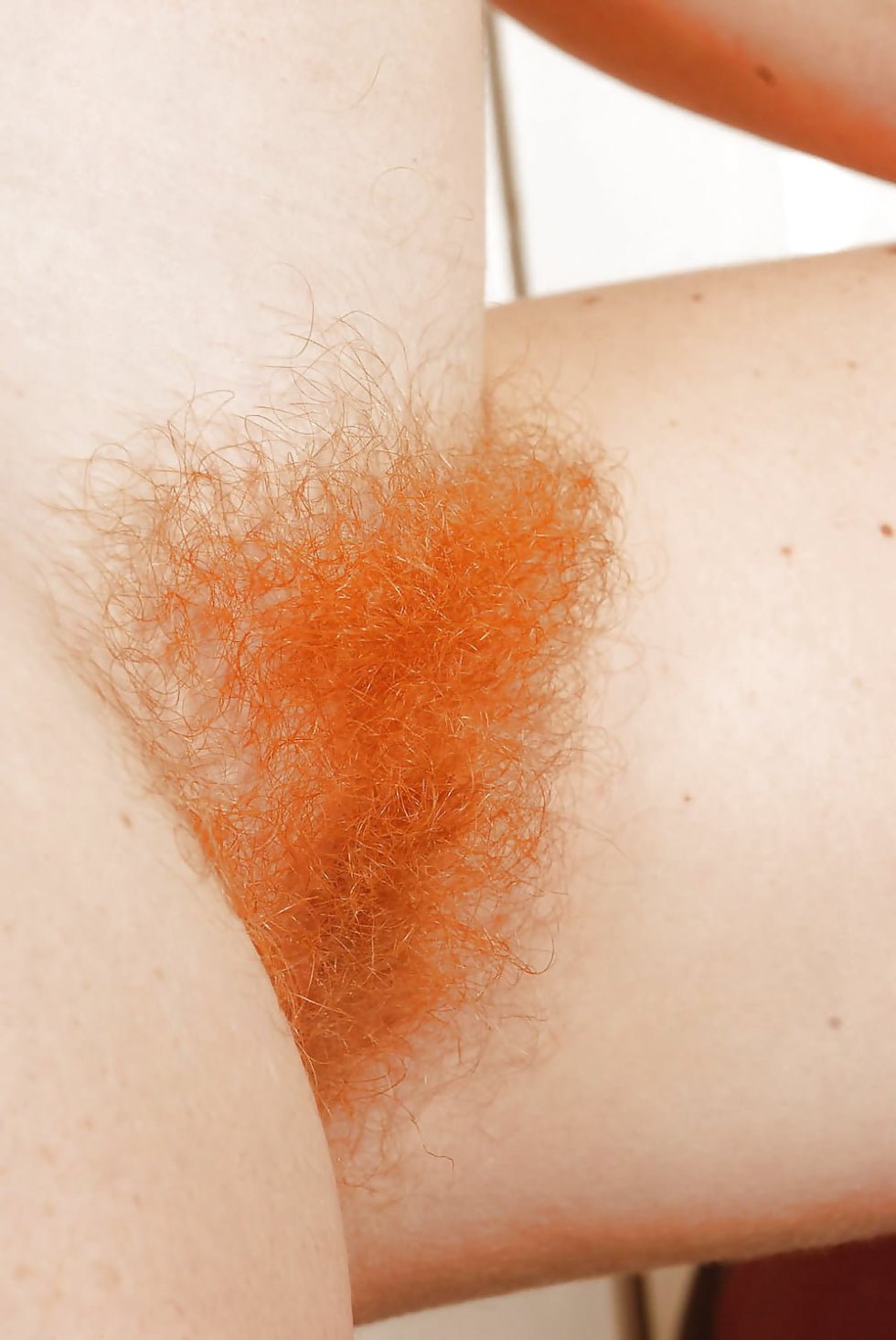 Hairy fluffy pubis