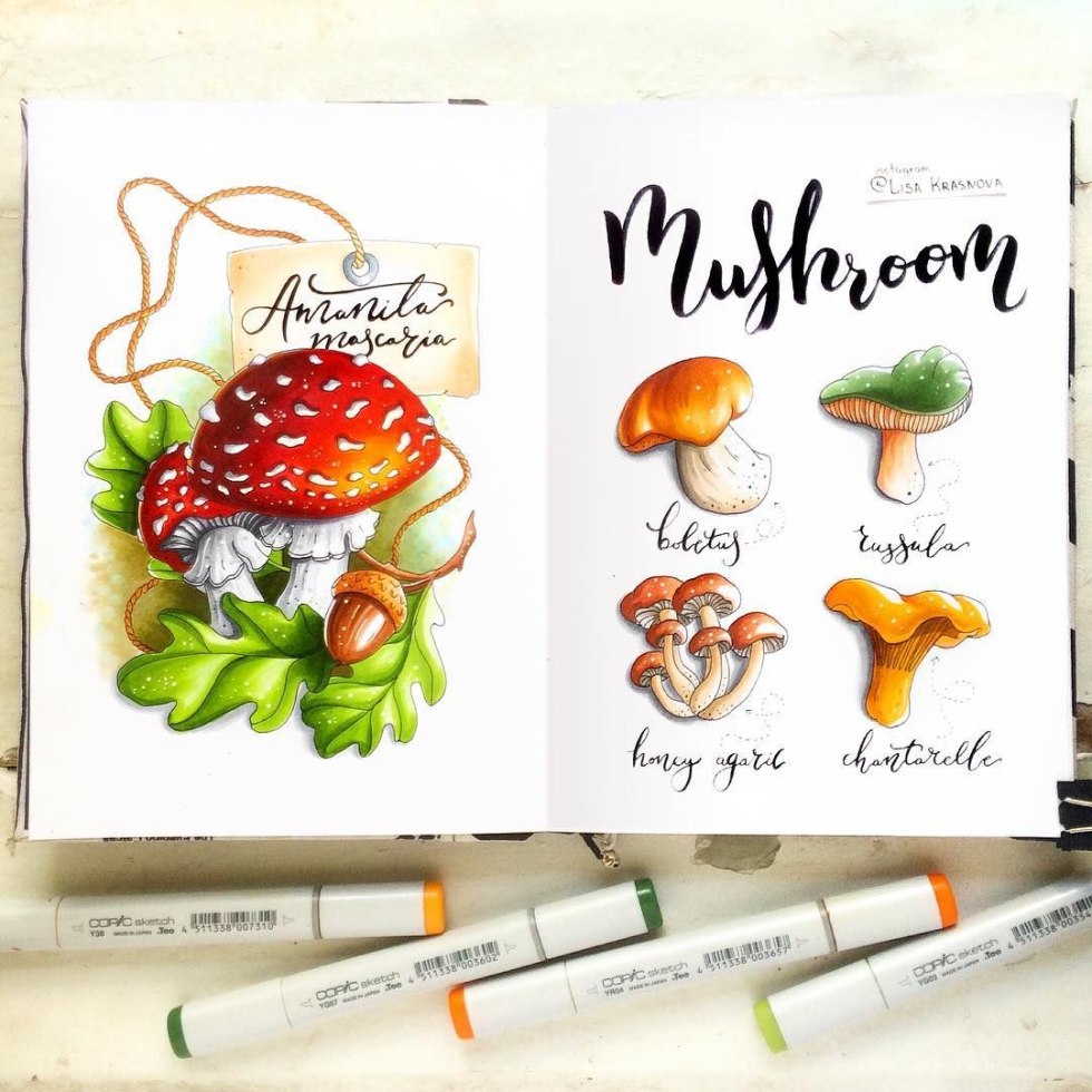 Sketch bird with markers