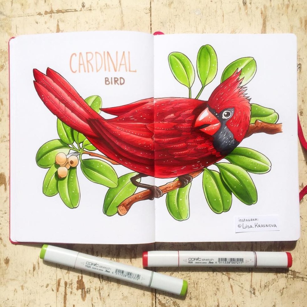 Sketches with markers from Lisa Krasnova