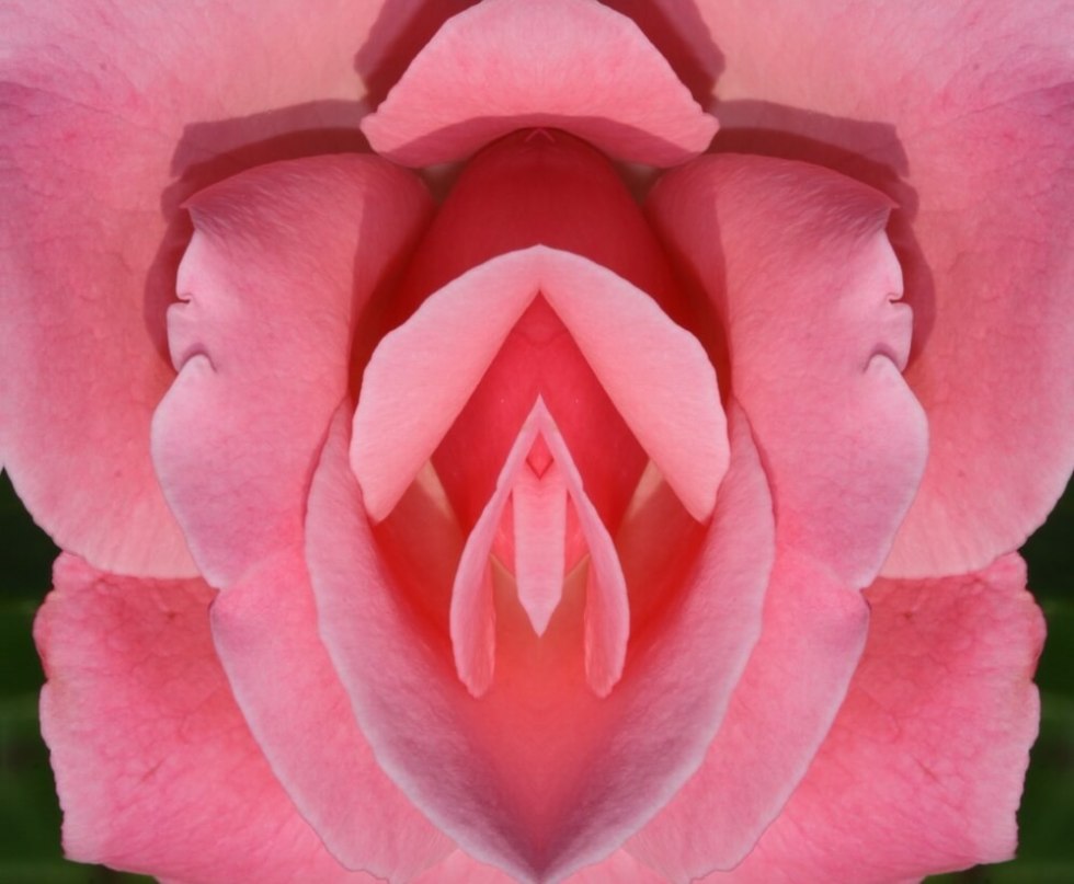 Flower similar to female organs