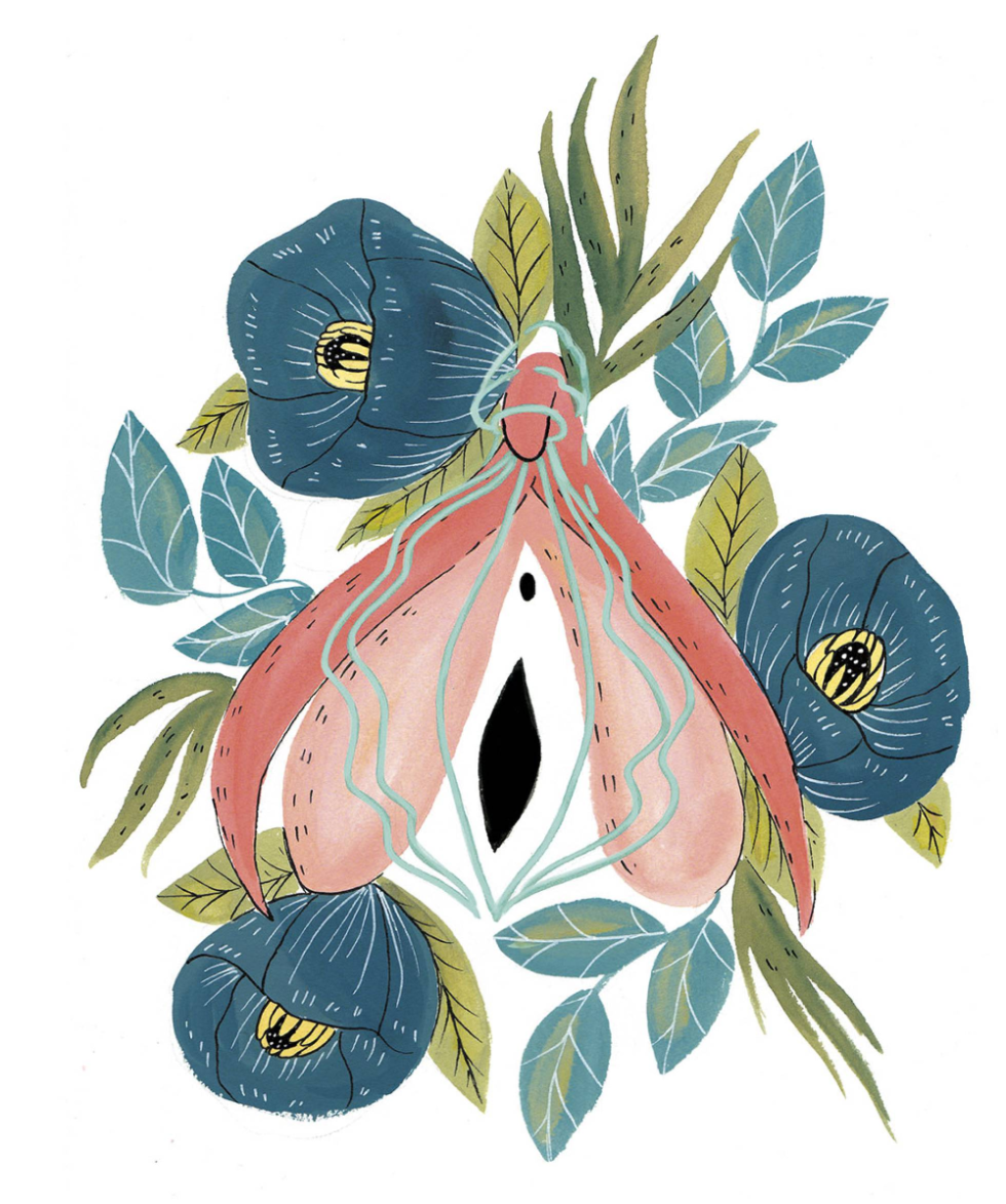 Stylized images of the vagina