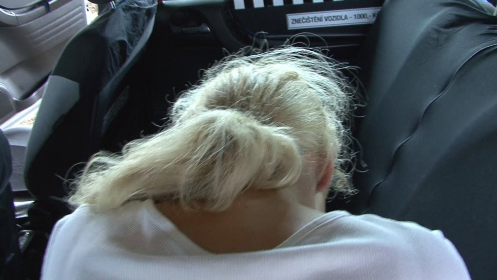 The Cab Driving Bitch