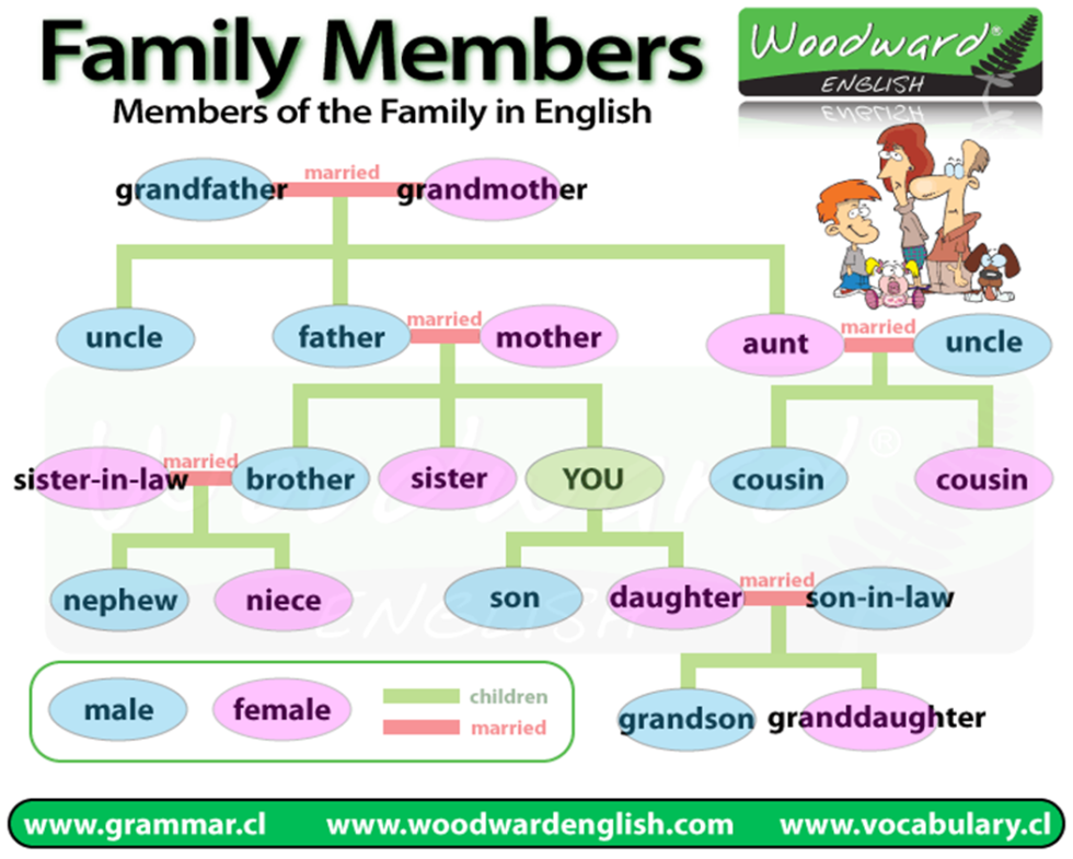 La Familia Family Vocabulario