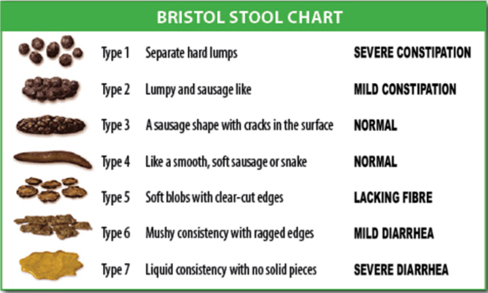 Bristol scale of Kala