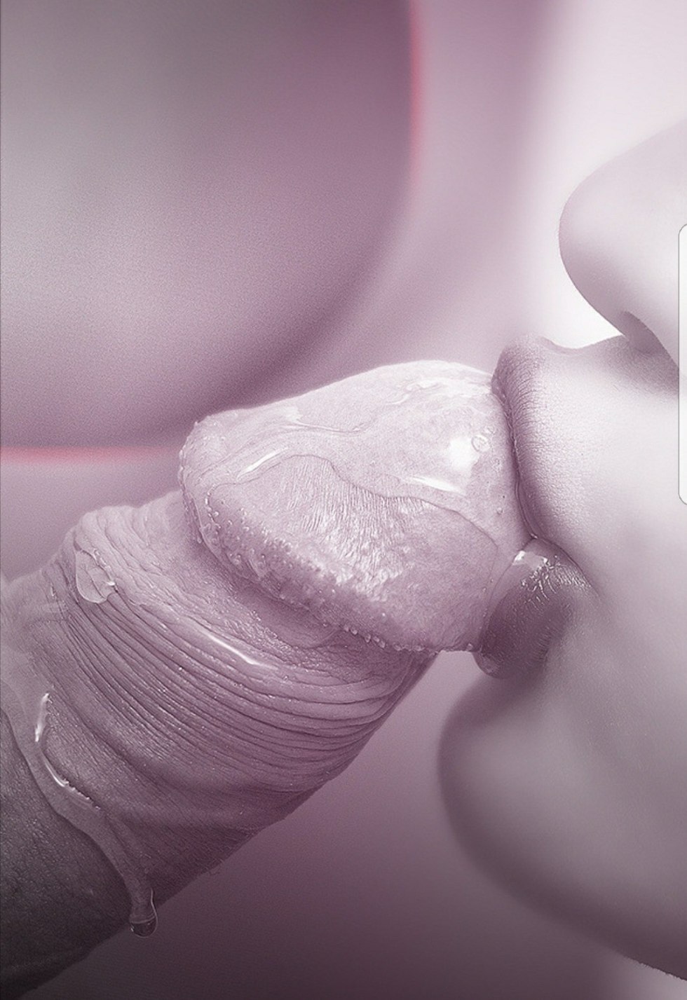 Gorgeous erotica, blowjob