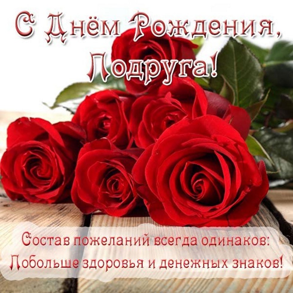 Funny cats with cats